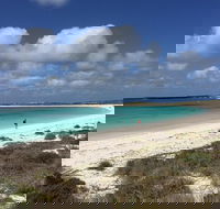 Abrolhos Island Half Day Fly and Flipper - Surfers Gold Coast