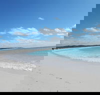 Shipwreck Special Nature Tour/Half Day Tour - Surfers Gold Coast