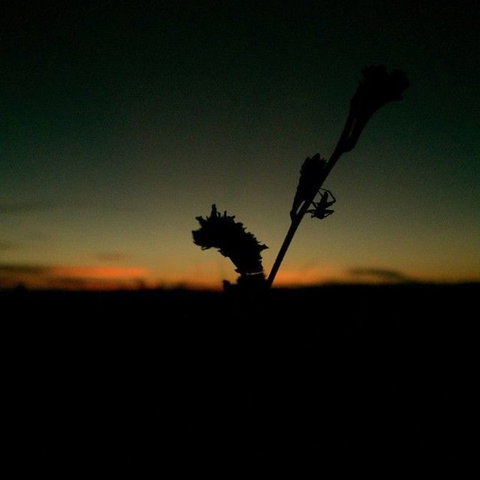Windjana Gorge And Tunnel Creek 4WD Tour From Broome - Surfers Gold Coast 7
