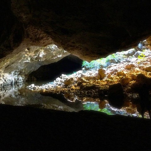 Windjana Gorge And Tunnel Creek 4WD Tour From Broome - Surfers Gold Coast 8