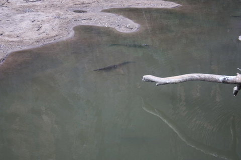 Windjana Gorge And Tunnel Creek 4WD Tour From Broome - Surfers Gold Coast 3