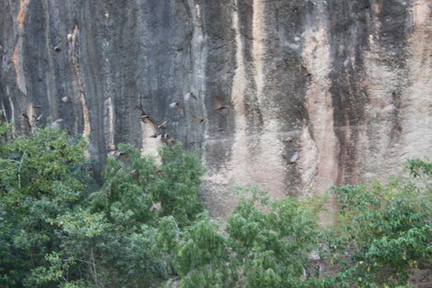Windjana Gorge And Tunnel Creek 4WD Tour From Broome - Surfers Gold Coast 2