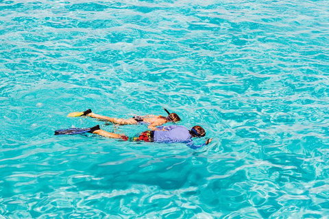 VIP Luxury Chartered Escapes, Exploring The Reef At Your Own Pace - Surfers Gold Coast 29