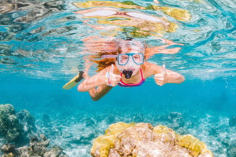 VIP Luxury Chartered Escapes, Exploring The Reef At Your Own Pace - Surfers Gold Coast 48