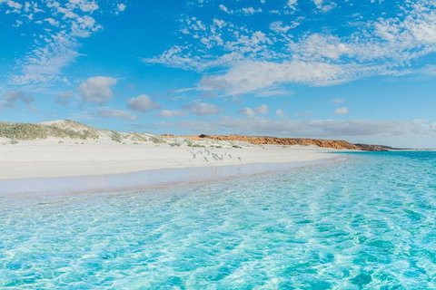 VIP Luxury Chartered Escapes, Exploring The Reef At Your Own Pace - Surfers Gold Coast 36