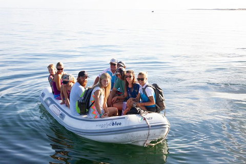 VIP Luxury Chartered Escapes, Exploring The Reef At Your Own Pace - Surfers Gold Coast 43