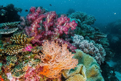 VIP Luxury Chartered Escapes, Exploring The Reef At Your Own Pace - Surfers Gold Coast 33