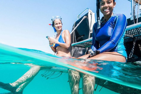 VIP Luxury Chartered Escapes, Exploring The Reef At Your Own Pace - Surfers Gold Coast 24