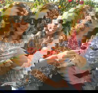 Half Day Swan Valley Wine Tour - Surfers Gold Coast