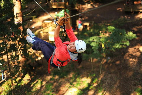Trees Adventure Lane Poole Park - Treetop & Zipline Experience - Surfers Gold Coast 0