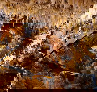 Jewel Cave Fully-guided Tour - Surfers Gold Coast