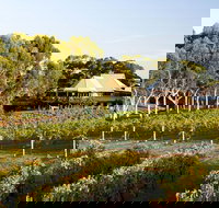 Margaret River and Geographe Bay Region Day Trip from Perth - Surfers Gold Coast