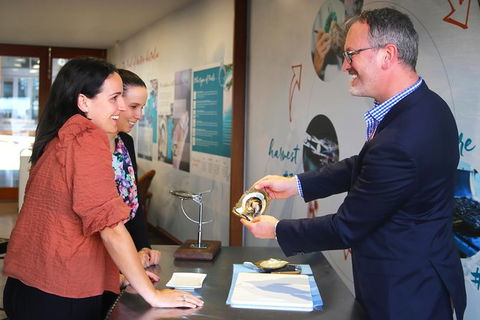 Live Pearl Harvest Experience - Perth - Surfers Gold Coast 2