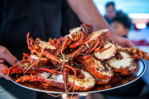 Mandurah Wild Seafood Adventure Cruise - Surfers Gold Coast 1
