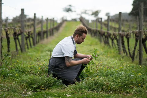 Vasse Felix Epicurean Tour And Tasting Experience With 5 Course Lunch - Surfers Gold Coast 9