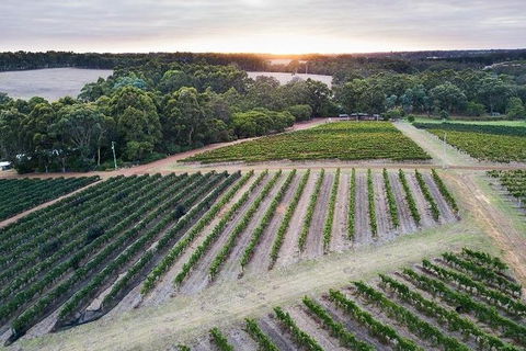 Vasse Felix Epicurean Tour And Tasting Experience With 5 Course Lunch - Surfers Gold Coast 7