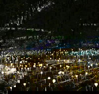 National Anzac Centre Field of Light Panorama Pass - Surfers Gold Coast