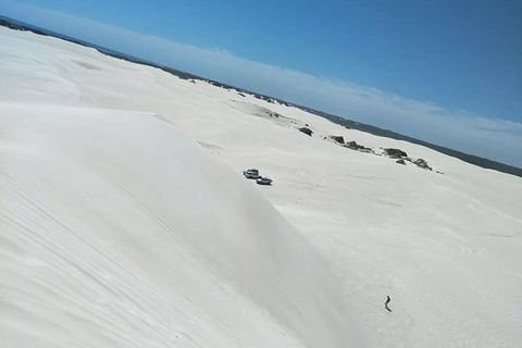 Yanchep & Lancelin - Wildlife, Cave And Sands - Surfers Gold Coast 3