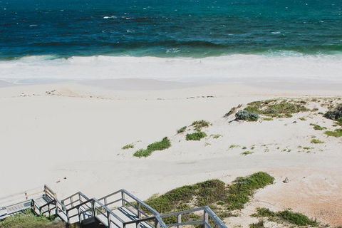 Yanchep & Lancelin - Wildlife, Cave And Sands - Surfers Gold Coast 4