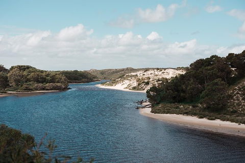 Yanchep & Lancelin - Wildlife, Cave And Sands - Surfers Gold Coast 6