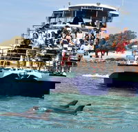 Mandurah Dolphin and Scenic Marine Cruise - Surfers Gold Coast