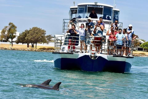 Mandurah Dolphin And Scenic Marine Cruise - Surfers Gold Coast 0