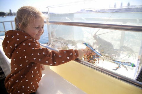 Mandurah Dolphin And Scenic Marine Cruise - Surfers Gold Coast 5
