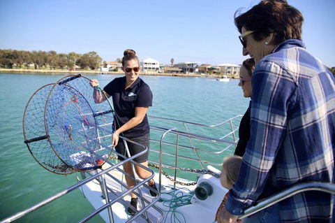 Mandurah Dolphin And Scenic Marine Cruise - Surfers Gold Coast 16