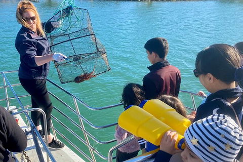 Mandurah Dolphin And Scenic Marine Cruise - Surfers Gold Coast 18