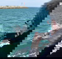 Mandurah Dolphin Island Adventure - Surfers Gold Coast