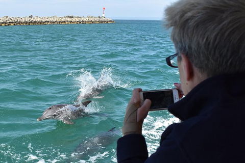 Mandurah Dolphin Island Adventure - Surfers Gold Coast 0