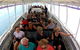 Mandurah Dolphin Island Adventure - thumb 1