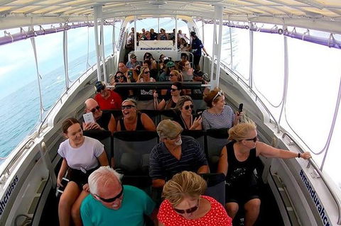Mandurah Dolphin Island Adventure - Surfers Gold Coast 1