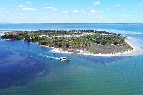 Mandurah Dolphin Island Adventure - Surfers Gold Coast 8