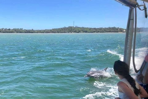 Mandurah Dolphin Island Adventure - Surfers Gold Coast 9