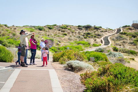Margaret River Coastal And Wildlife Eco Trip From Busselton Or Dunsborough - Surfers Gold Coast 1