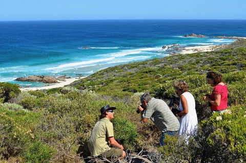 Margaret River Coastal And Wildlife Eco Trip From Busselton Or Dunsborough - Surfers Gold Coast 2