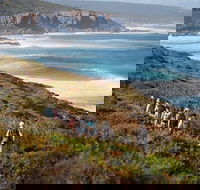 8-Day Cape to Cape Track Guided Walking Tour from Perth - Surfers Gold Coast