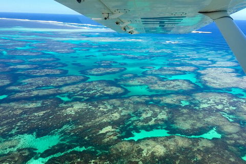Kalbarri, Pink Lake And Abrolhos Islands Nature Tour - Surfers Gold Coast 5