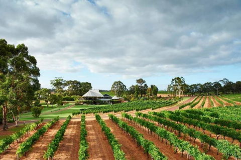 Vasse Felix Winery Tour And Tasting - Surfers Gold Coast 0