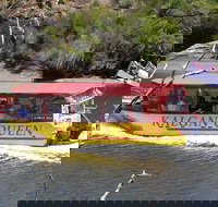 Kalgan Queen Scenic Cruises a four hour sheltered water wildlife tour daily fun. - Surfers Gold Coast