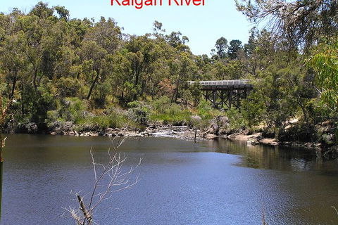 Kalgan Queen Scenic Cruises A Four Hour Sheltered Water Wildlife Tour Daily Fun. - Surfers Gold Coast 3