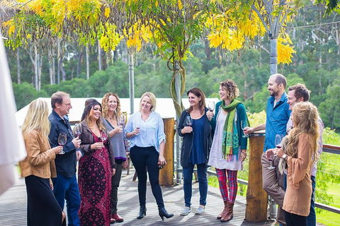 Half Day Gourmet Wine Tour - Surfers Gold Coast 0