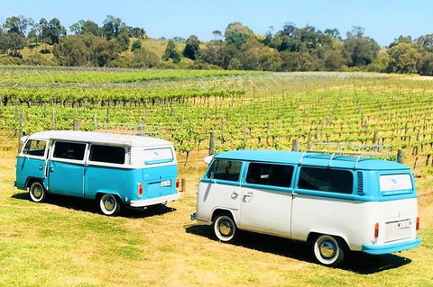 VW Kombi Wine Tour In The Swan Valley - Surfers Gold Coast 6