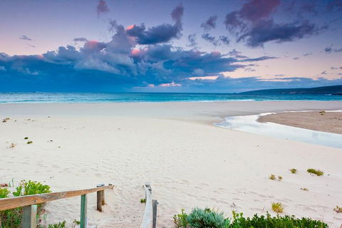 5 Hours Wineries, Coffee Tasting, Forest & Lunch At The Berry Farm - Surfers Gold Coast 7