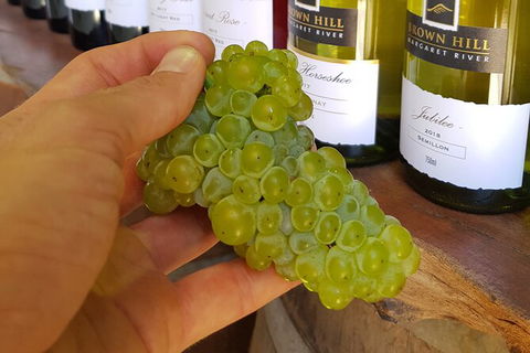 5 Hours Wineries, Coffee Tasting, Forest & Lunch At The Berry Farm - Surfers Gold Coast 12