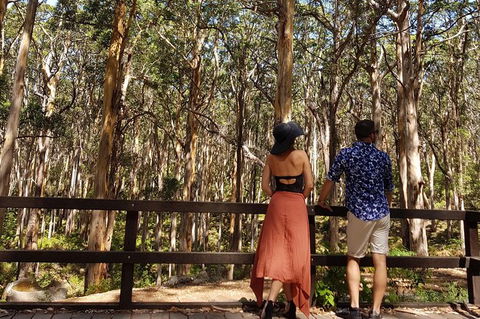 5 Hours Wineries, Coffee Tasting, Forest & Lunch At The Berry Farm - Surfers Gold Coast 11