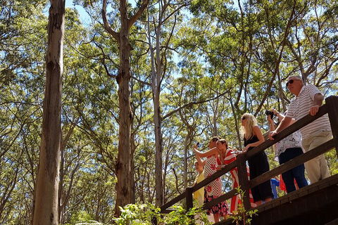 5 Hours Wineries, Coffee Tasting, Forest & Lunch At The Berry Farm - Surfers Gold Coast 4