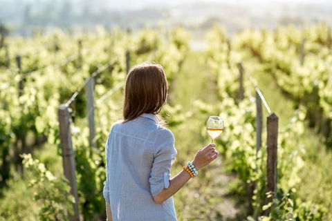 5 Hours Wineries, Coffee Tasting, Forest & Lunch At The Berry Farm - Surfers Gold Coast 5
