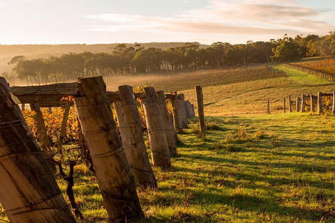 5 Hours Wineries, Coffee Tasting, Forest & Lunch At The Berry Farm - Surfers Gold Coast 19